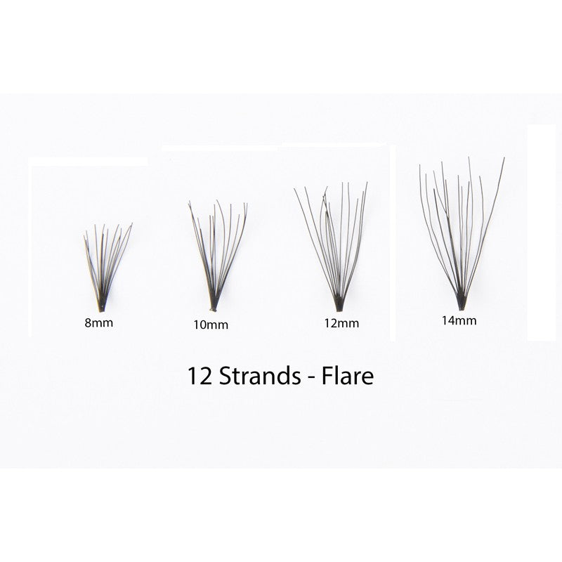 #1 Eyelash Flare Jar 8MM - 12 Short